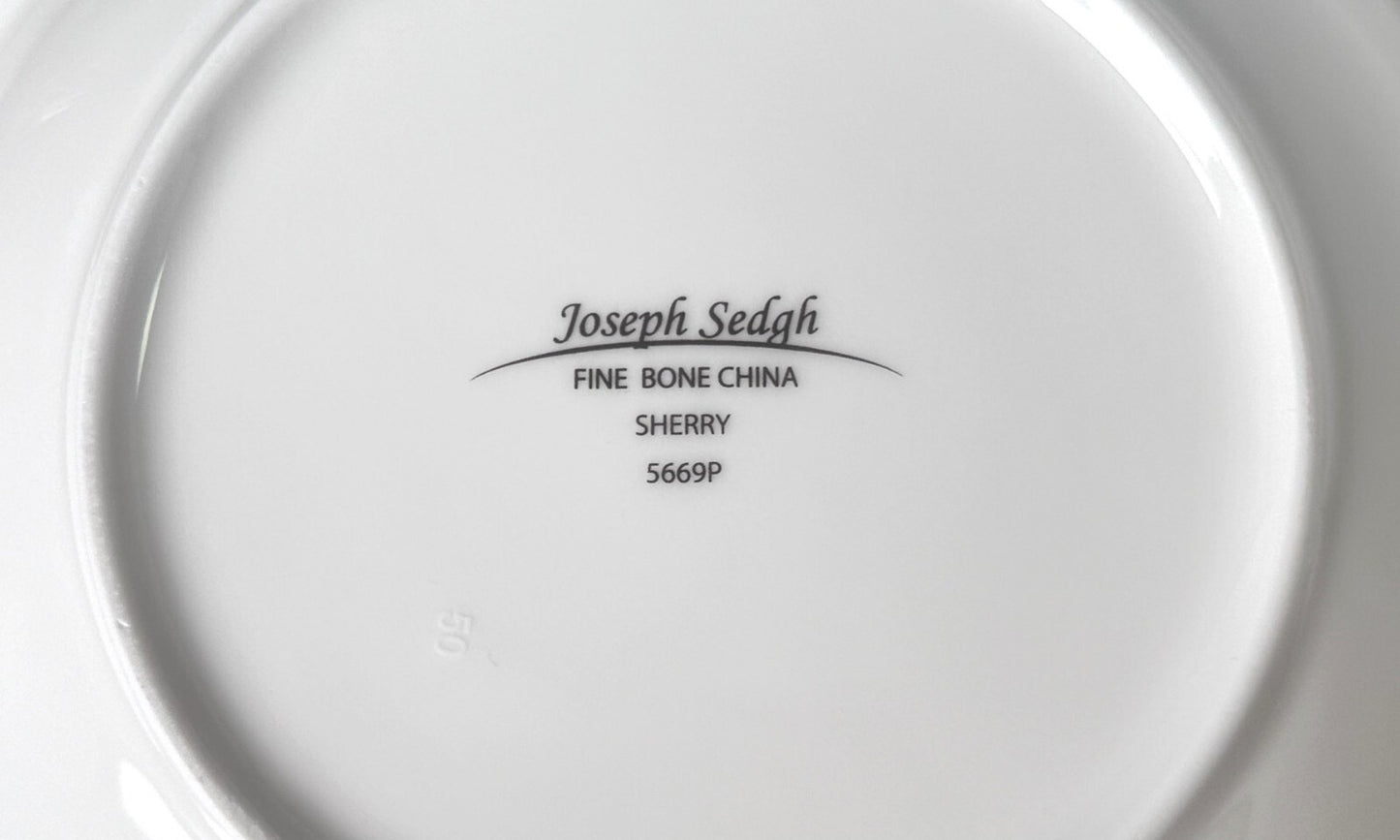 Joseph Sedgh SHERRY Fine Bone China Soup/Pasta Plate 9" White Lace Silver Rim x3