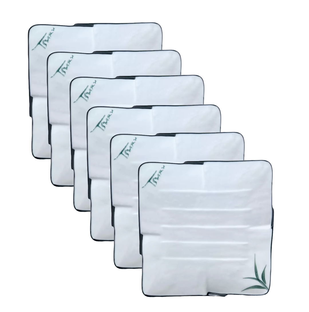 Square White Porcelain Plate Hand Painted Bamboo Leaves & Elegant Black Trim x6