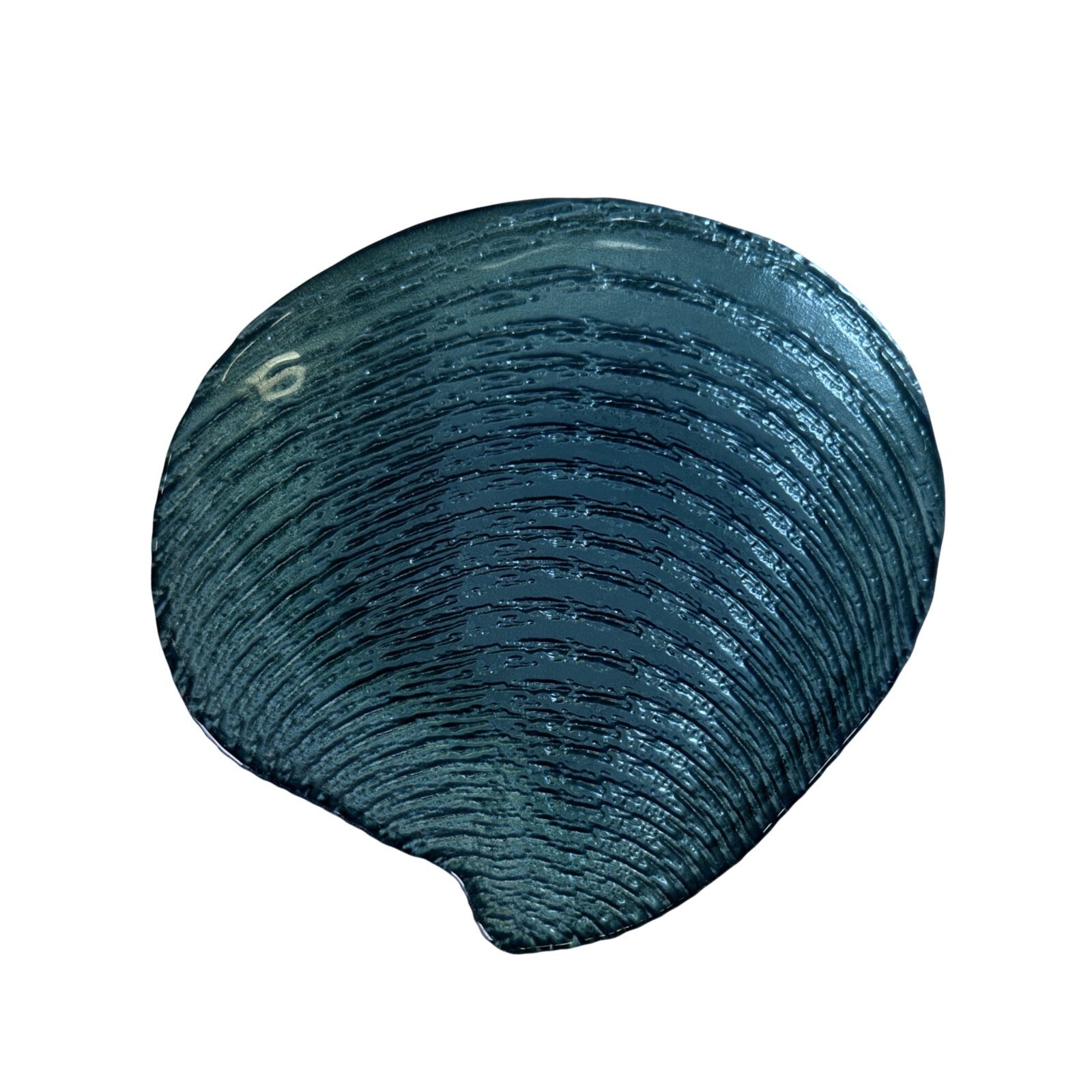 Clam Shaped Plates 3 pc set by Coastal Collection, Beach Life Sea & Ocean Plates